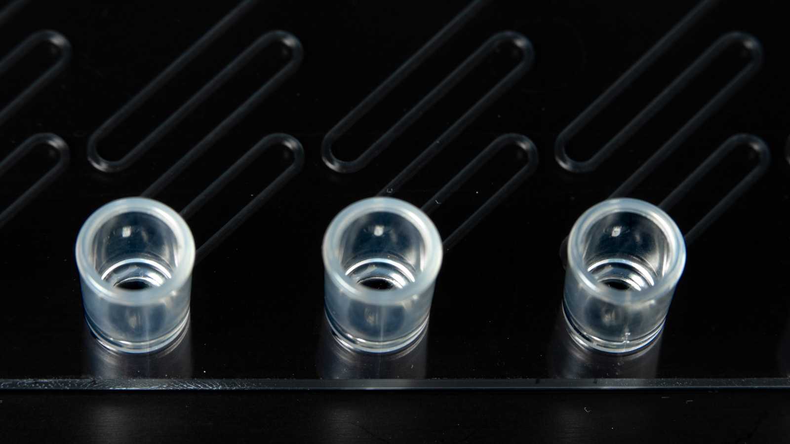 Three 250 microliter reseroivrs along the edge of a microfluidic device.