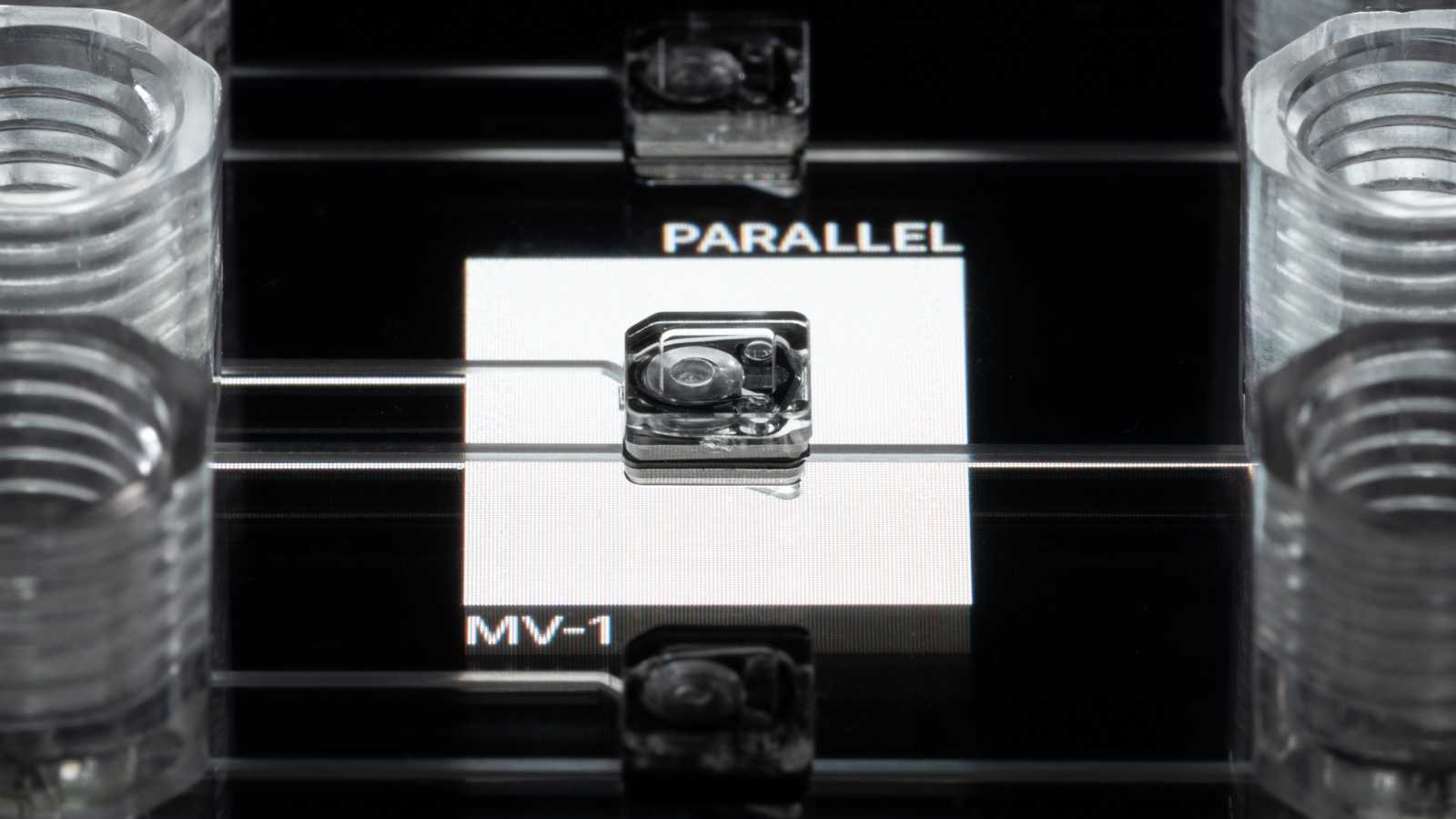 The MV-1 microvalve on a double-slide format microfluidic device, being lit from below. Its channels connect to two adjacent 1/4-28 ports.
