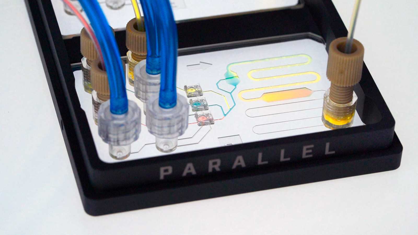 Three Luer-lock ports and four 1/4-28 ports connected to tubing, all feeding three MV-1 microvalves that are mixing pink, blue, and yellow liquids in a double-slide format microfluidic device.